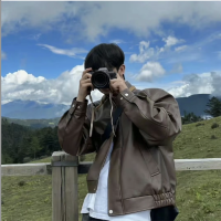 Gouji NPV for China Ryan Profile
